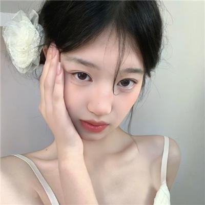 菊石